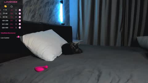 Bella online show from January 28, 1:49 pm