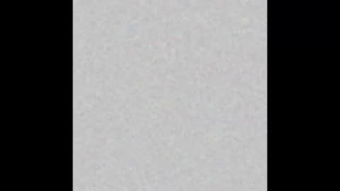  paola and a guest lol    online show from November 13, 9:30 am