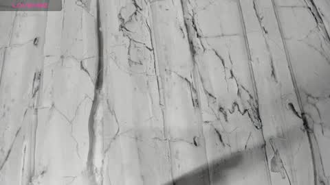 laiily bell online show from February 24, 12:25 pm