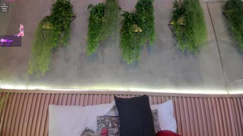 Snapshot of lana_lann chatting on February 14, 2:54 pm lana_lann online show from February 14, 2:54 pm