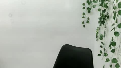 Honey online show from November 29, 2:47 am