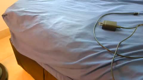 blackBear online show from November 16, 1:28 pm