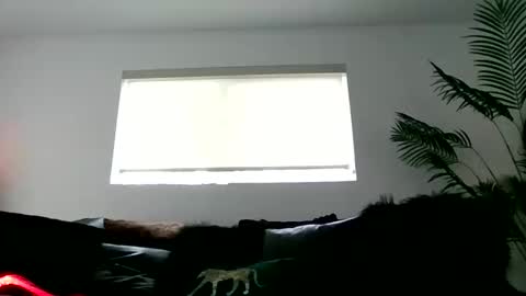 Bonnie and Clymax online show from October 12, 10:42 pm