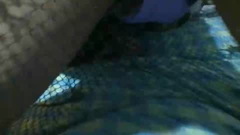 latinoboi2 online show from April 1, 4:57 am