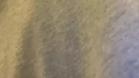 Mexakin online show from March 9, 1:42 am