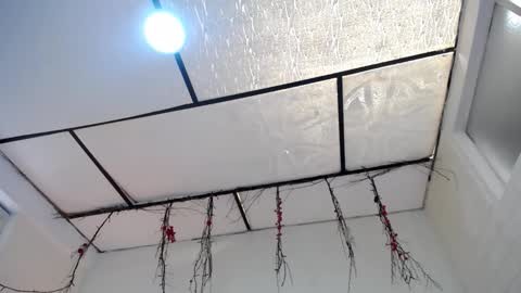 LAURA online show from March 23, 3:38 pm