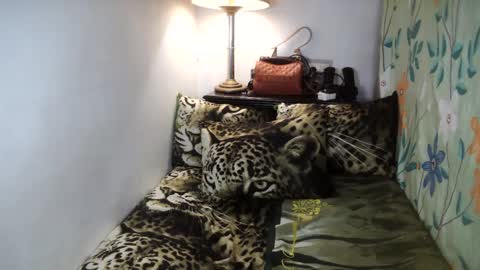 Belle online show from February 2, 8:13 am