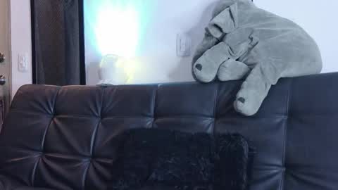    online show from March 14, 1:23 am