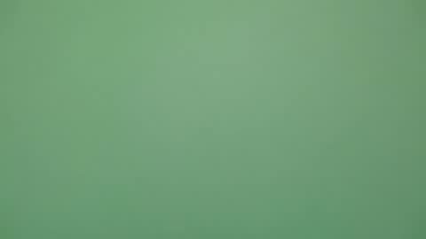 Michel online show from February 4, 6:03 pm