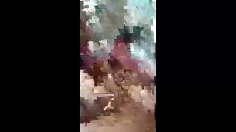 leedyamond online show from May 12, 2:58 pm