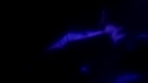 Michael online show from September 30, 9:14 am