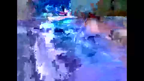 Michael online show from December 4, 7:39 am