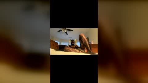 Snapshot of lelesmayone chatting on May 25, 10:54 am lelesmayone online show from May 25, 10:54 am