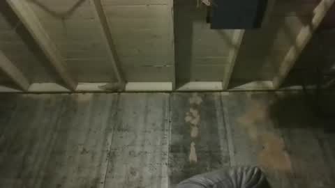 Snapshot of leo199984 chatting on December 19, 3:24 am leo199984 online show from December 19, 3:24 am