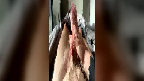 leo41231 online show from April 21, 8:42 am