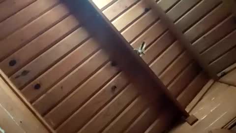 Snapshot of leskator9 chatting on November 2, 5:10 am leskator9 online show from November 2, 5:10 am