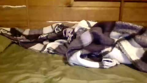 Snapshot of leskator9 chatting on November 7, 9:09 am leskator9 online show from November 7, 9:09 am