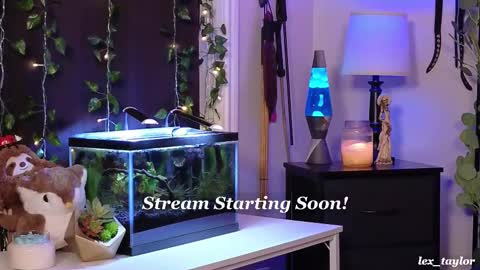 Snapshot of lex_taylor chatting on February 17, 4:04 pm Lex online show from February 17, 4:04 pm