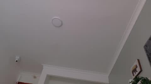Snapshot of lexadominant__ chatting on May 11, 2:45 pm L E X A online show from May 11, 2:45 pm