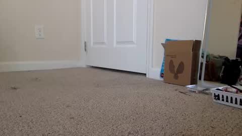 Snapshot of lexiial0 chatting on November 19, 4:40 pm Alexia L. online show from November 19, 4:40 pm