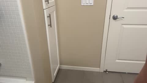 Lex North online show from March 14, 8:25 pm