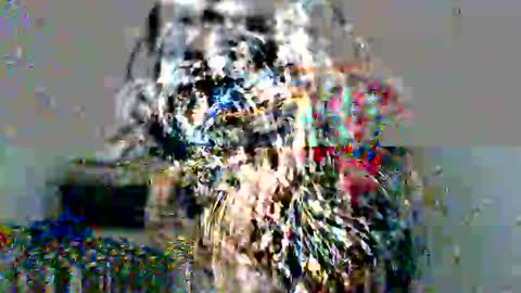 lolita online show from December 17, 5:04 pm