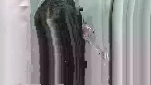 Snapshot of lhara_morena chatting on December 18, 12:11 pm lhara_morena online show from December 18, 12:11 pm