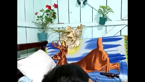 Snapshot of lia_hottie chatting on September 13, 9:25 pm Lia online show from September 13, 9:25 pm