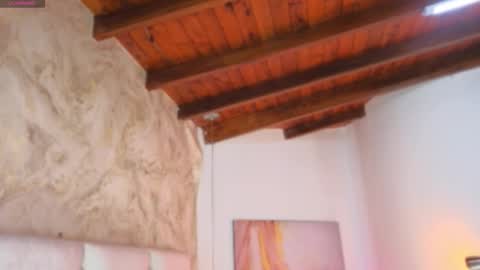 Snapshot of liacox chatting on November 25, 3:06 am Lia Cox online show from November 25, 3:06 am