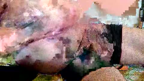 lickingover online show from April 8, 11:32 am