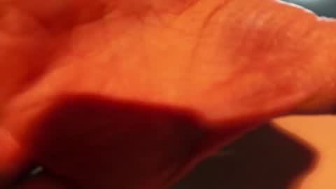 Snapshot of lightboy97 chatting on January 16, 2:19 am Lightworker online show from January 16, 2:19 am