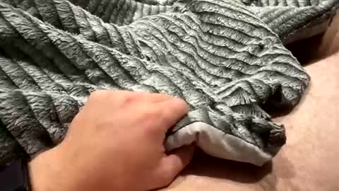 Snapshot of likeaboss820 chatting on October 29, 2:03 am likeaboss820 online show from October 29, 2:03 am