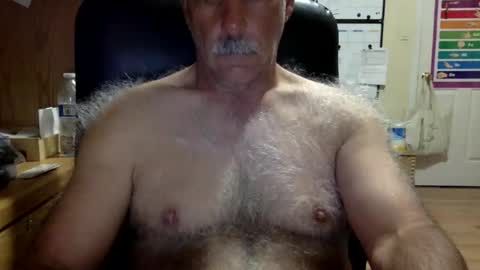 likefhot online show from March 13, 2:01 pm