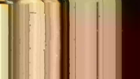 Sasquatch online show from February 24, 6:39 pm