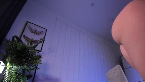 Snapshot of lilian_kroft chatting on February 6, 12:16 pm LIL online show from February 6, 12:16 pm