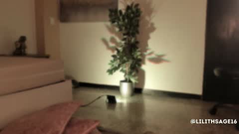 lilith_sage_ online show from November 13, 11:53 am
