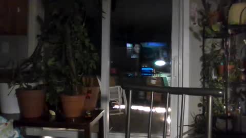 Snapshot of lillexxxylover chatting on November 9, 1:59 am Lexy online show from November 9, 1:59 am