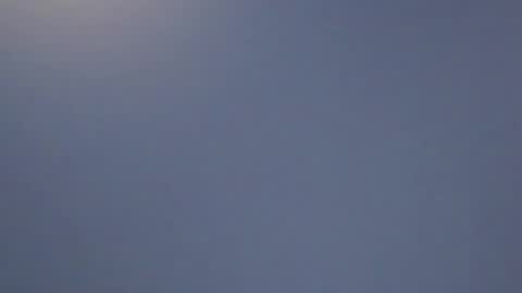 lillie_berry online show from April 11, 8:18 am