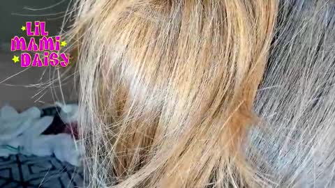 Daisy Bby online show from March 16, 3:01 am