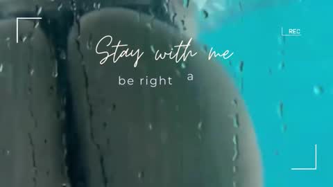 Snapshot of lily_foster_ chatting on November 9, 6:33 am Lily online show from November 9, 6:33 am