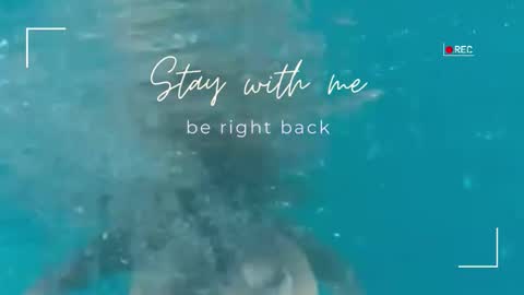 Lily online show from February 4, 6:08 am