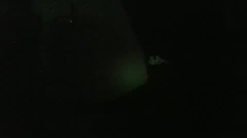 lily lovelyman online show from December 26, 4:53 am