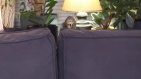 Snapshot of lilyminx chatting on November 13, 3:55 pm -- My Wishlist online show from November 13, 3:55 pm