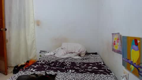 Snapshot of lion_grr chatting on December 16, 2:16 am lion_grr online show from December 16, 2:16 am