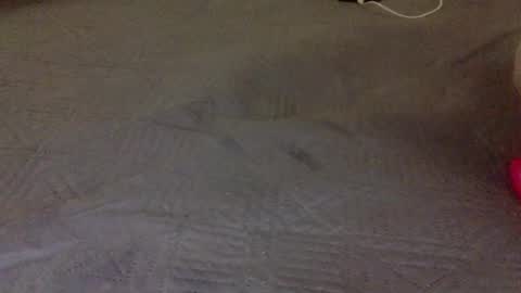 Snapshot of lipinhofortal853516 chatting on November 10, 12:31 am lipinhofortal853516 online show from November 10, 12:31 am