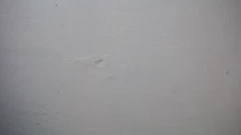 lisa_branch online show from November 27, 7:27 pm