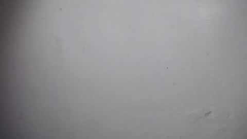 lisa_branch online show from December 19, 11:06 am