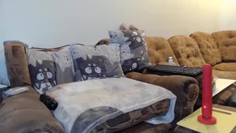 litisialove455 online show from January 31, 9:27 am