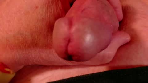 Littlebits online show from February 23, 4:43 am