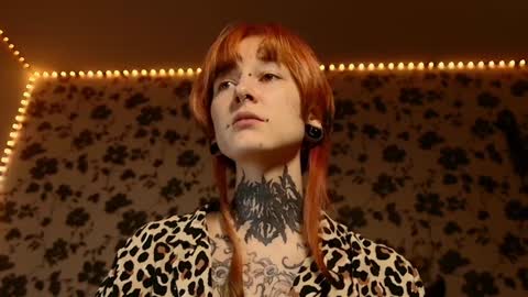 Snapshot of littlespacemouse chatting on February 3, 3:49 pm Niki free tg channel with some photos gifs and info about streams online show from February 3, 3:49 pm